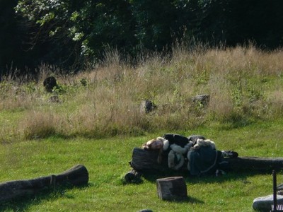 Aislinn, le repos dans la nature