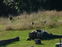 Aislinn, le repos dans la nature